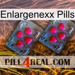 Enlargenexx Pills